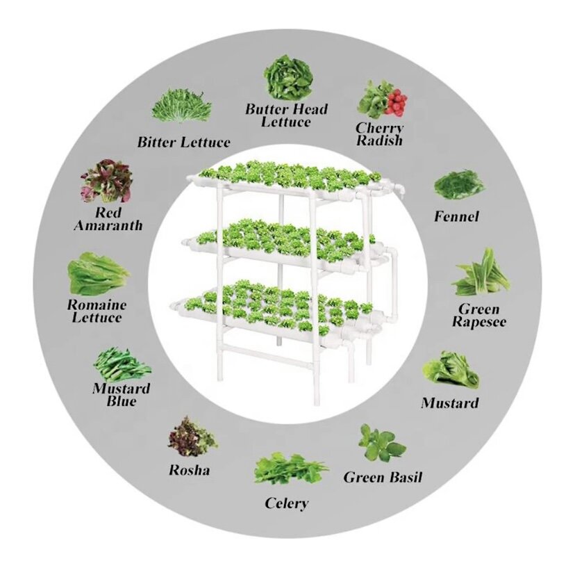 hidroponika-sodinimo-laistymo-sistema-8a159-internetu_reference