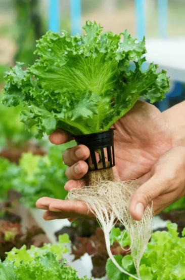 2026-03-04 23_23_46-Greenshot