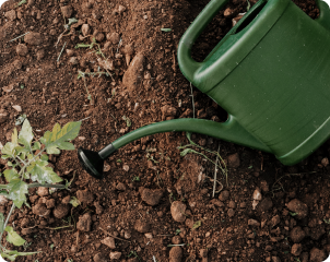 ph-reguliavimas-bloombay