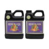 Advanced Nutrients Sensi Bloom A+B