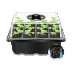 Daigykla, vazonėlis daiginimui 12 vietų