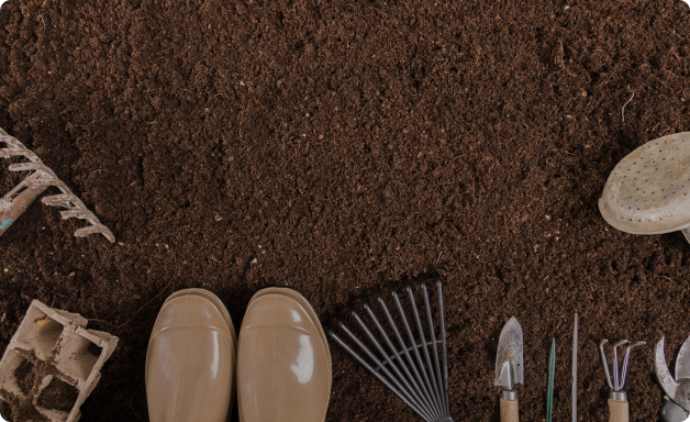 auginimo-budai-second-bloombay